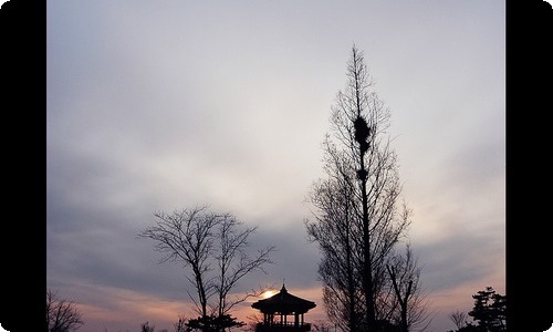 高中英语自我介绍4篇