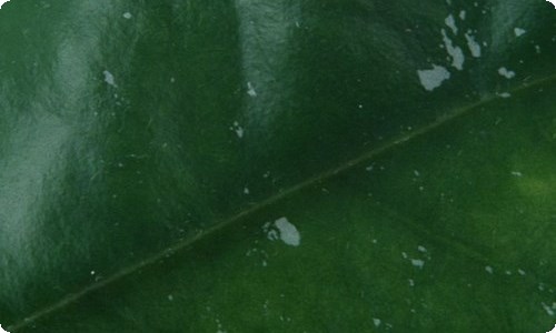 小学六年级美术上册的教学计划