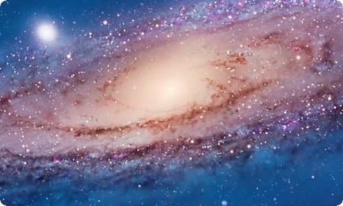 给导游的表扬信