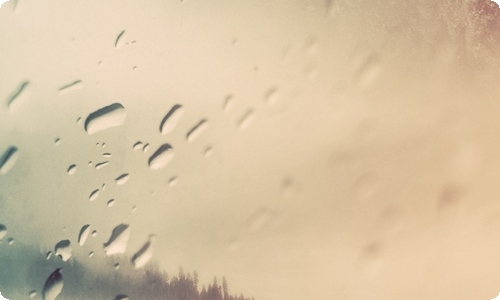 有限公司股权转让协议书15篇