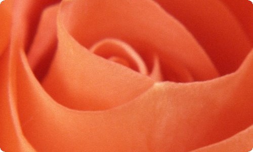 小学英语广播稿5篇