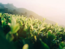 人生处处要感恩