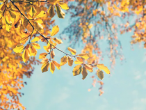 留下只言片语，见证爱情