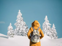 终于释怀的一件小事儿